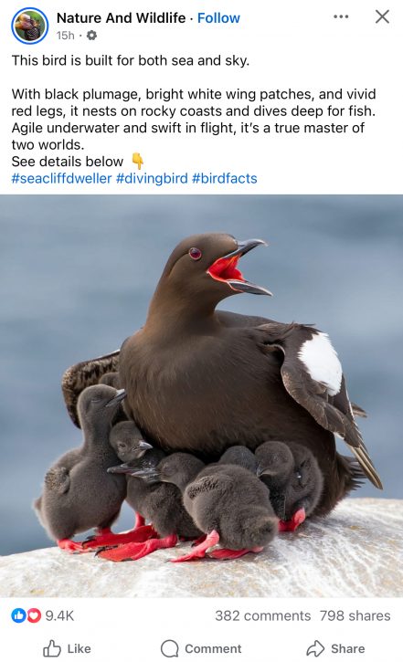 AI generated Facebook post