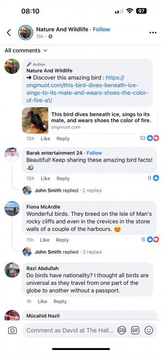 Comments on AI generated Facebook post