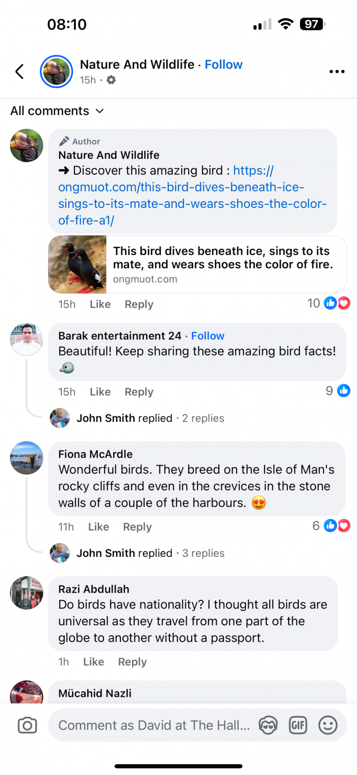 Comments on AI generated Facebook post