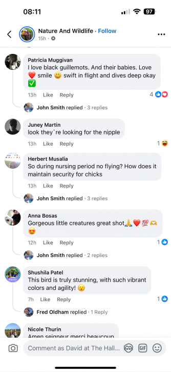 Comments on AI generated Facebook post