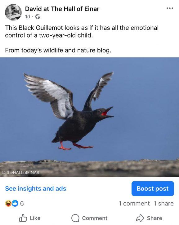 My Facebook post