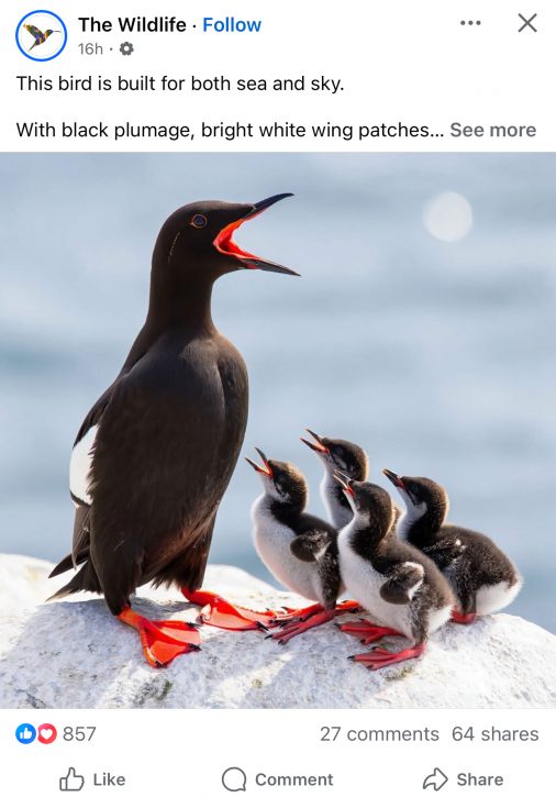 AI generated Facebook post
