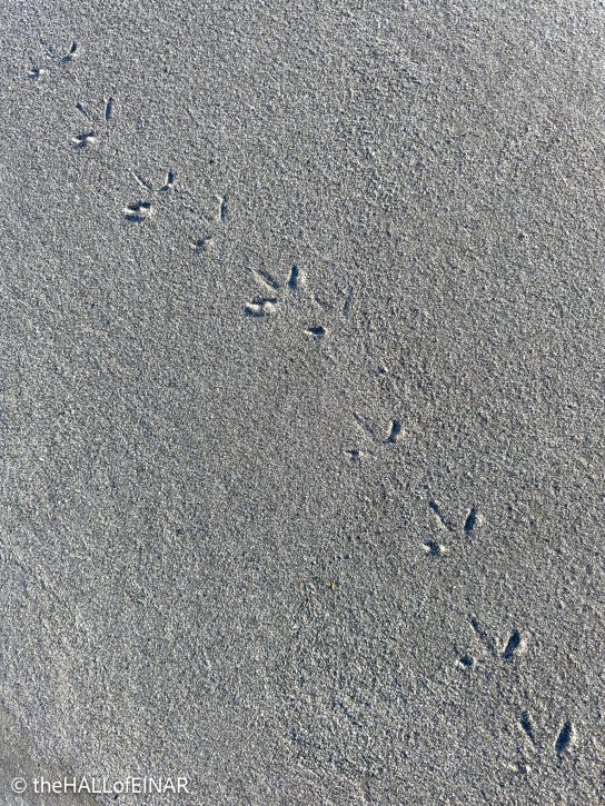 Footsteps in sand - The Hall of Einar - photograph © David Bailey (not the)