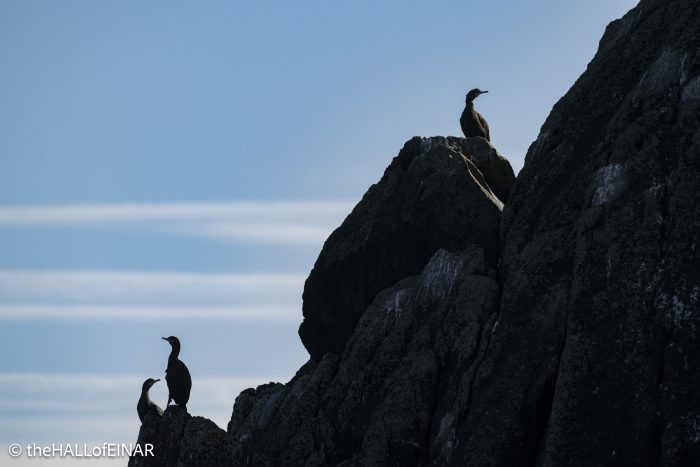 Shag - The Hall of Einar - photograph © David Bailey (not the)