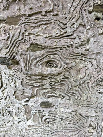 Walls - The Hall of Einar - photograph © David Bailey (not the)