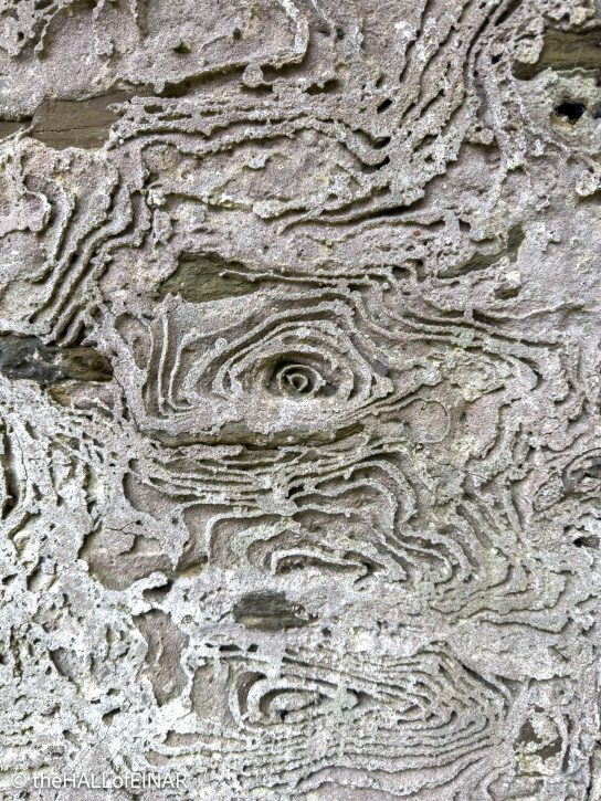 Walls - The Hall of Einar - photograph © David Bailey (not the)