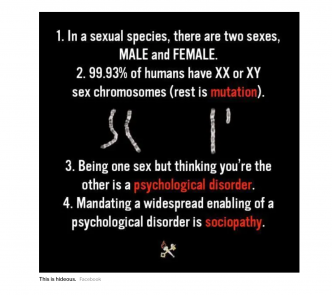 Sex Chromosomes meme
