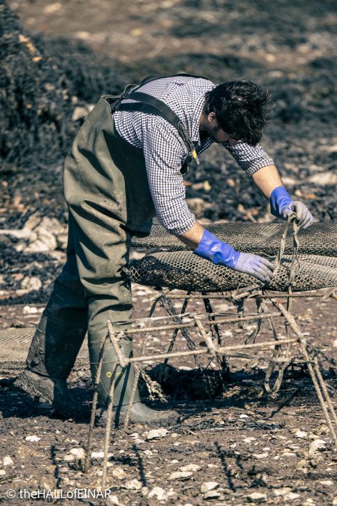 Oyster beds - The Hall of Einar - photograph © David Bailey (not the)