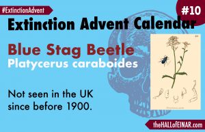 Extinction Advent Calendar 10