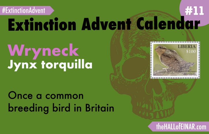 Extinction Advent Calendar 11