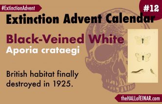 Extinction Advent Calendar 12