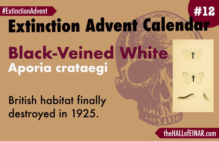 Extinction Advent Calendar 12