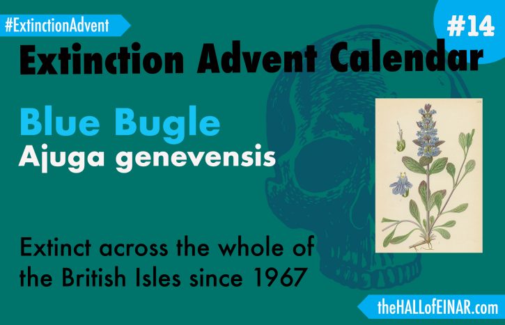 Extinction Advent Calendar 14