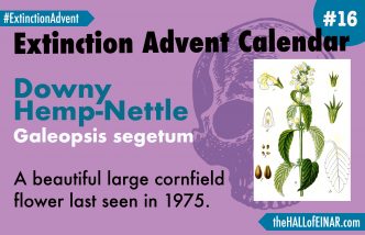 Extinction Advent Calendar 16