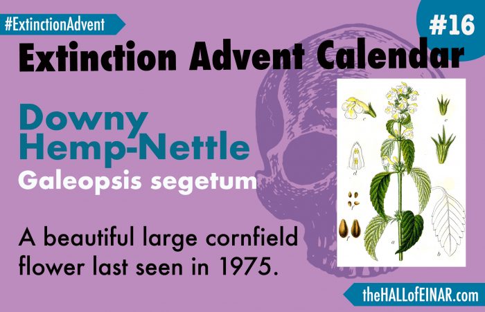 Extinction Advent Calendar 16