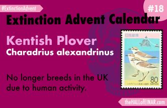 Extinction Advent Calendar 18