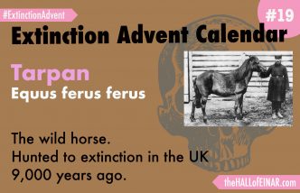 Extinction Advent Calendar 19