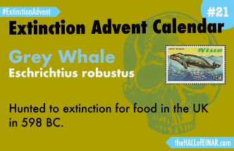 Extinction Advent Calendar 21