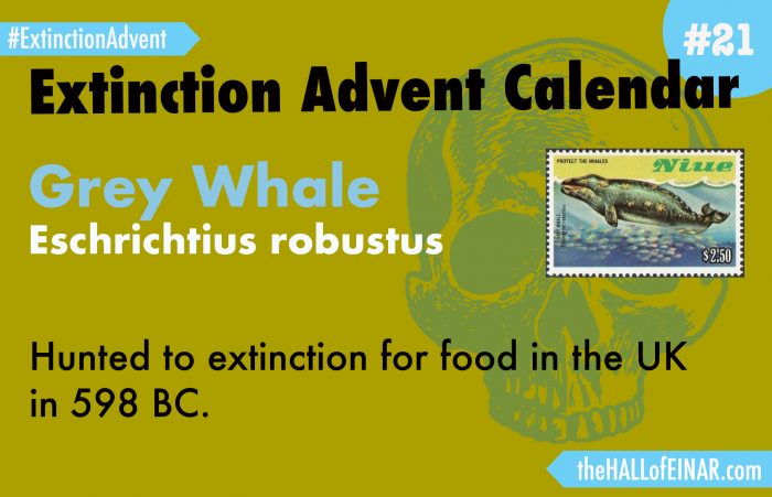 Extinction Advent Calendar 21