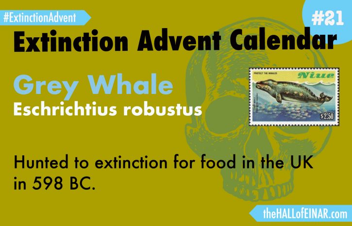 Extinction Advent Calendar 21