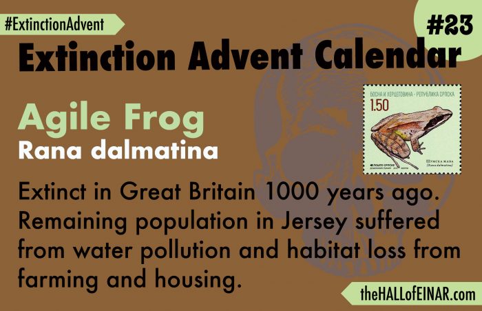 Extinction Advent Calendar 23