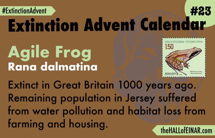 Extinction Advent Calendar 23