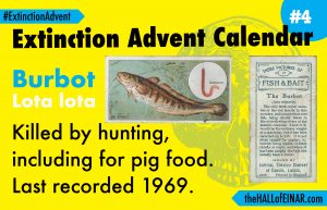 Extinction Advent Calendar 4