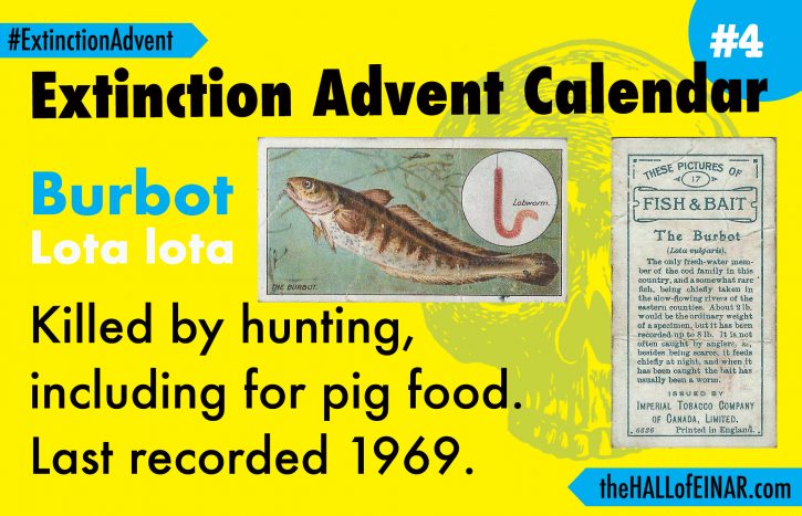 Extinction Advent Calendar 4