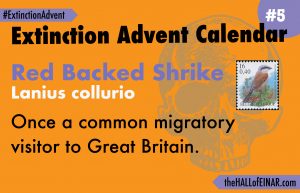 Extinction Advent Calendar 5