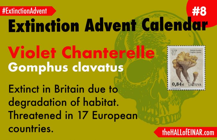 Extinction Advent Calendar 8