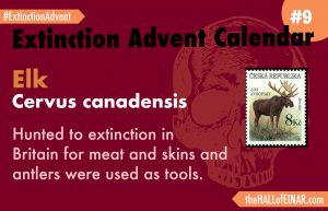 Extinction Advent - Day 9