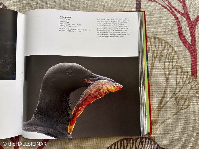 BWPA - the Hall of Einar
