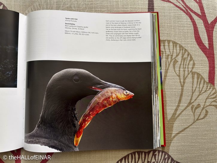 BWPA - the Hall of Einar