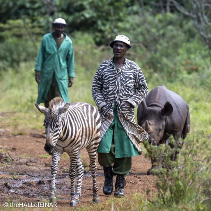 Sheldrick Wildlife Trust - The Hall of Einar - photograph © David Bailey (not the)