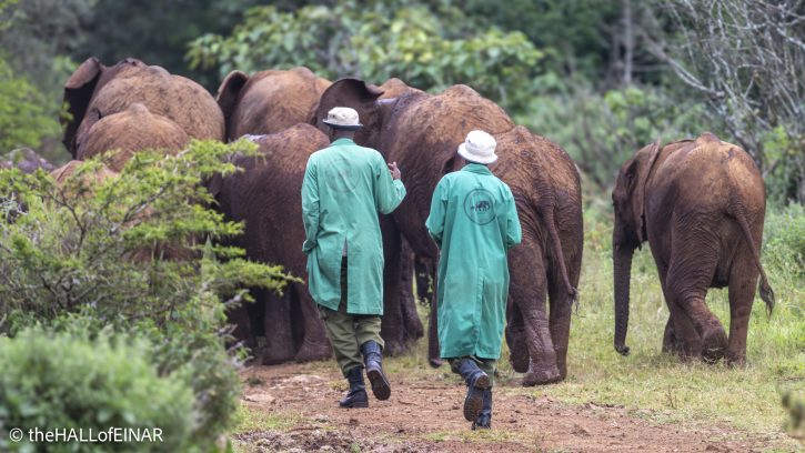 Sheldrick Wildlife Trust - The Hall of Einar - photograph © David Bailey (not the)