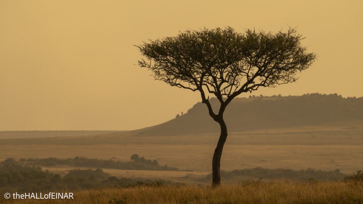 Masai Mara - Kenya Safari - The Hall of Einar- photograph © David Bailey (not the)