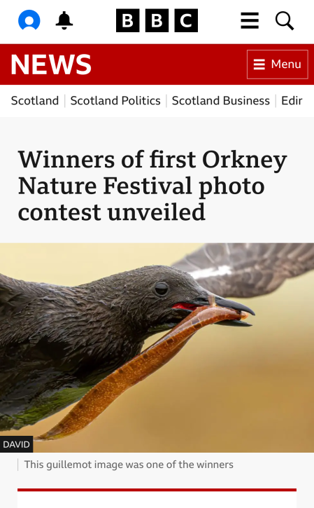 BBC Scotland News. Winner - Terrestrial Animals of Orkney