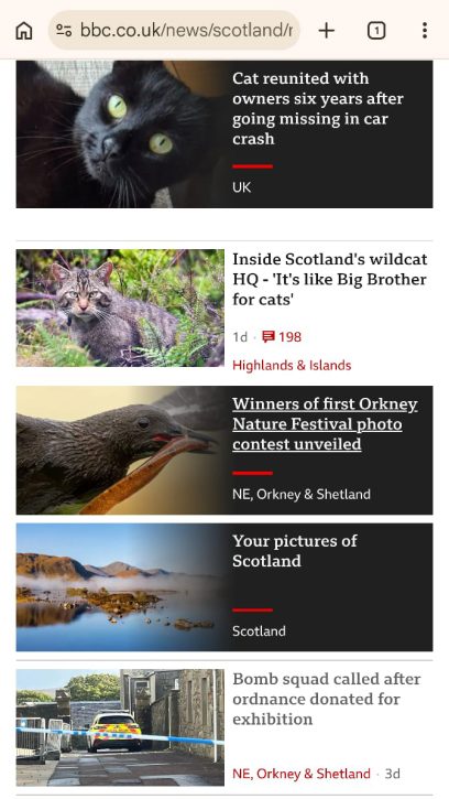 BBC Scotland News. Winner - Terrestrial Animals of Orkney