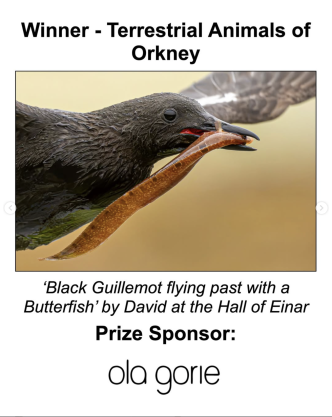 Winner - Terrestrial Animals of Orkney